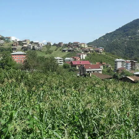 Ataköy Daire Caykara